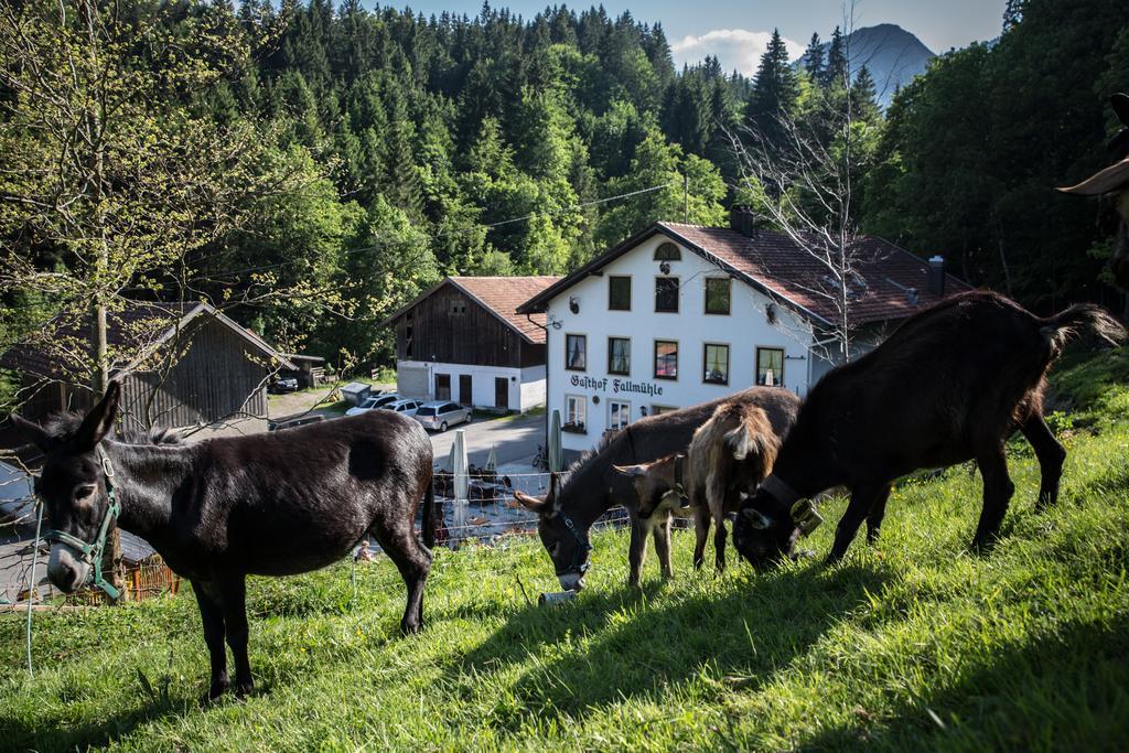 Gasthof Fallmuehle Pfronten Exterior foto